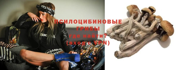 шишки Богородск