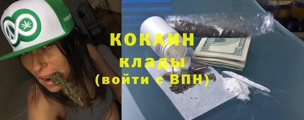 шишки Богородск