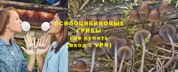 амф Верея