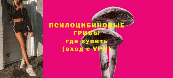 марки lsd Богородицк