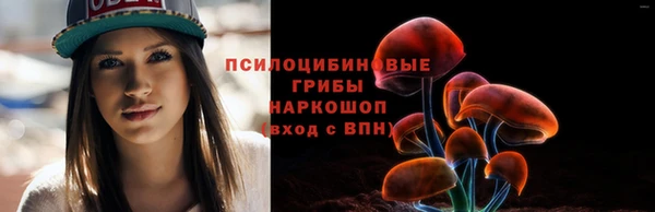 амф Верея