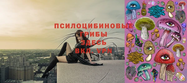 МДМА Верхний Тагил