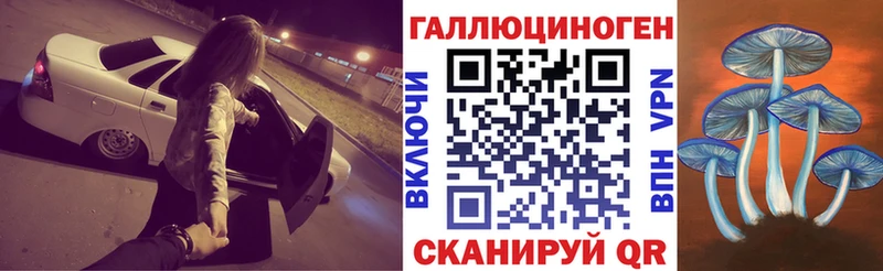 магазин продажи   Верхняя Тура  Галлюциногенные грибы GOLDEN TEACHER 